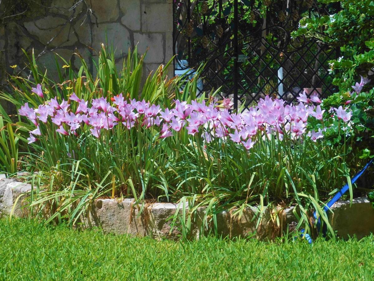Casa Gatos Aparthotel อากุมัล ภายนอก รูปภาพ