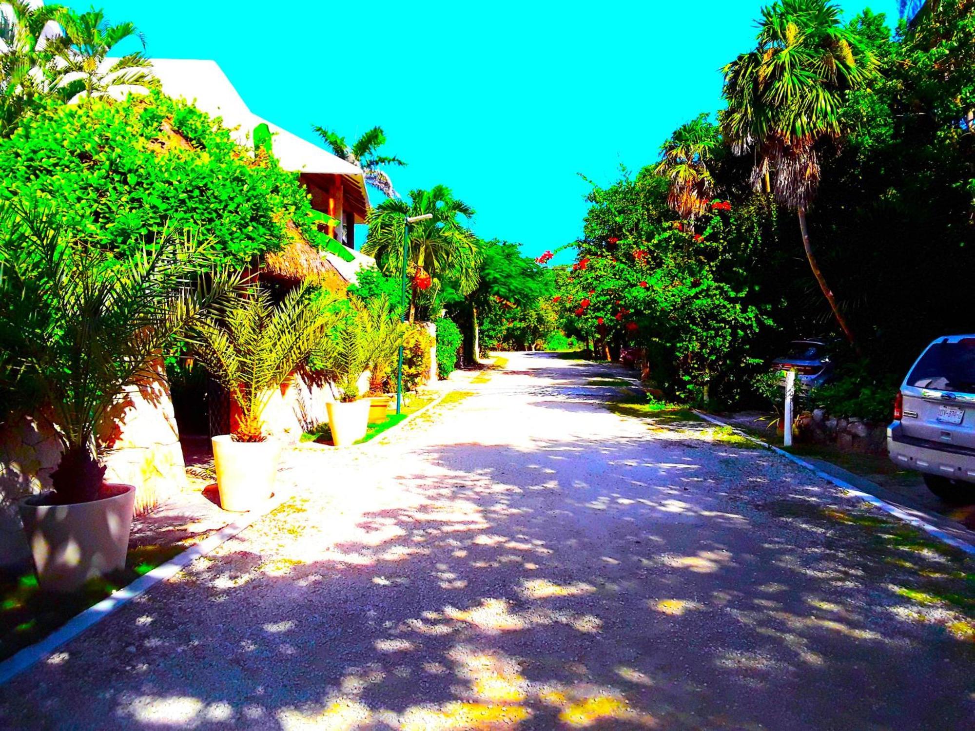 Casa Gatos Aparthotel อากุมัล ภายนอก รูปภาพ