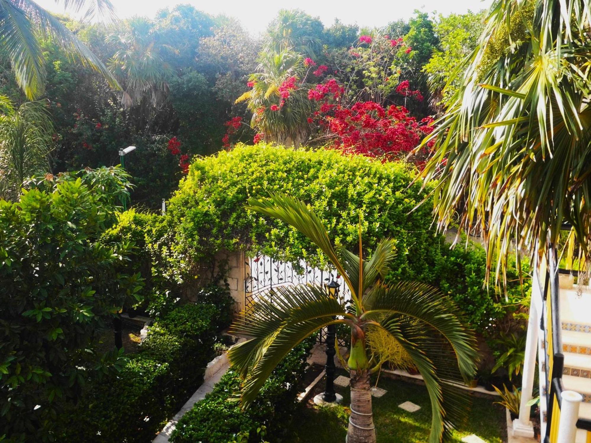 Casa Gatos Aparthotel อากุมัล ภายนอก รูปภาพ