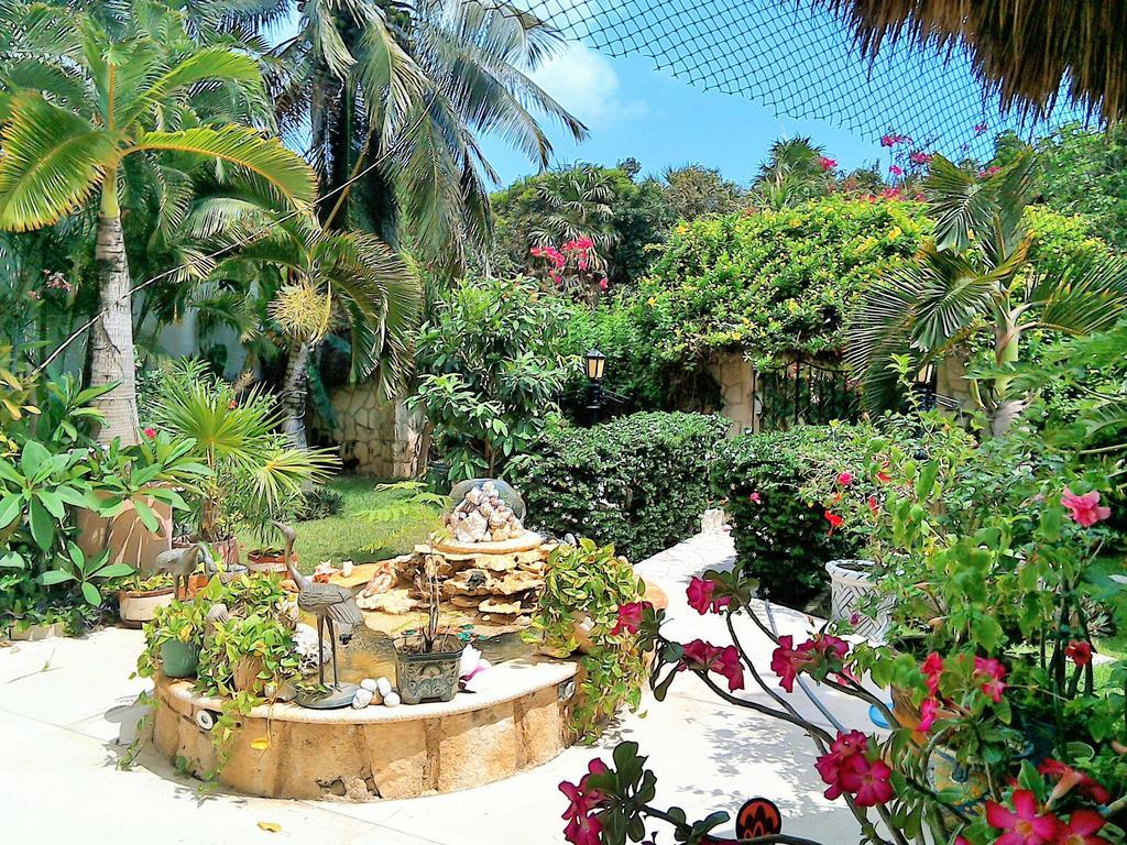 Casa Gatos Aparthotel อากุมัล ภายนอก รูปภาพ