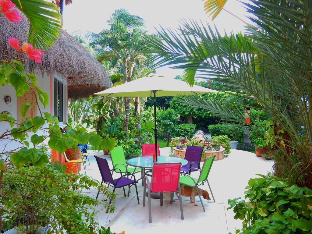 Casa Gatos Aparthotel อากุมัล ภายนอก รูปภาพ