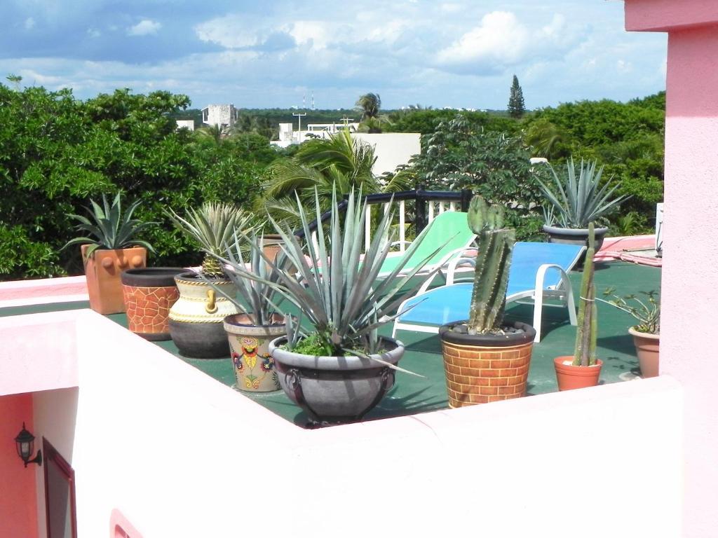 Casa Gatos Aparthotel อากุมัล ภายนอก รูปภาพ