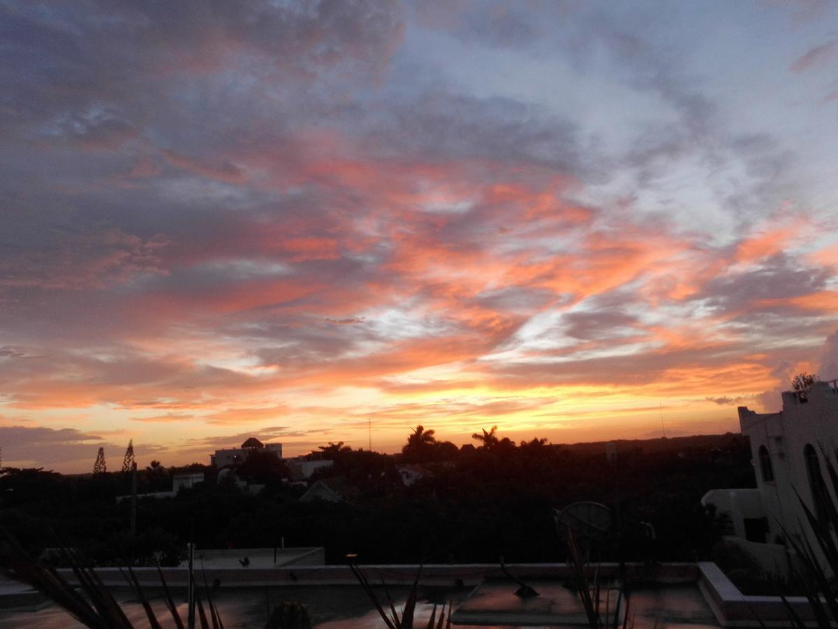 Casa Gatos Aparthotel อากุมัล ภายนอก รูปภาพ