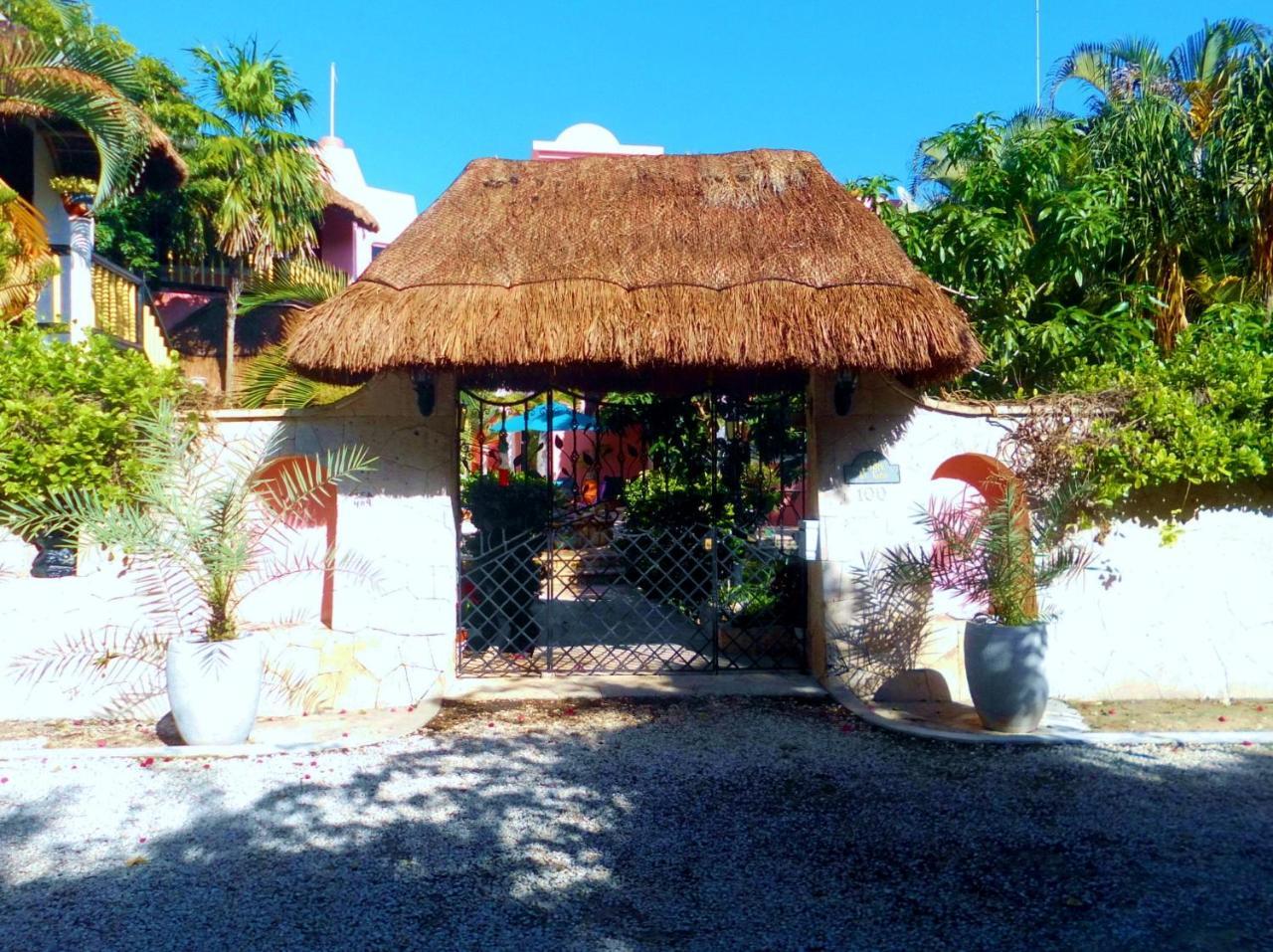 Casa Gatos Aparthotel อากุมัล ภายนอก รูปภาพ